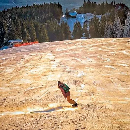 Martinski *
